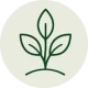 Spiritual Growth